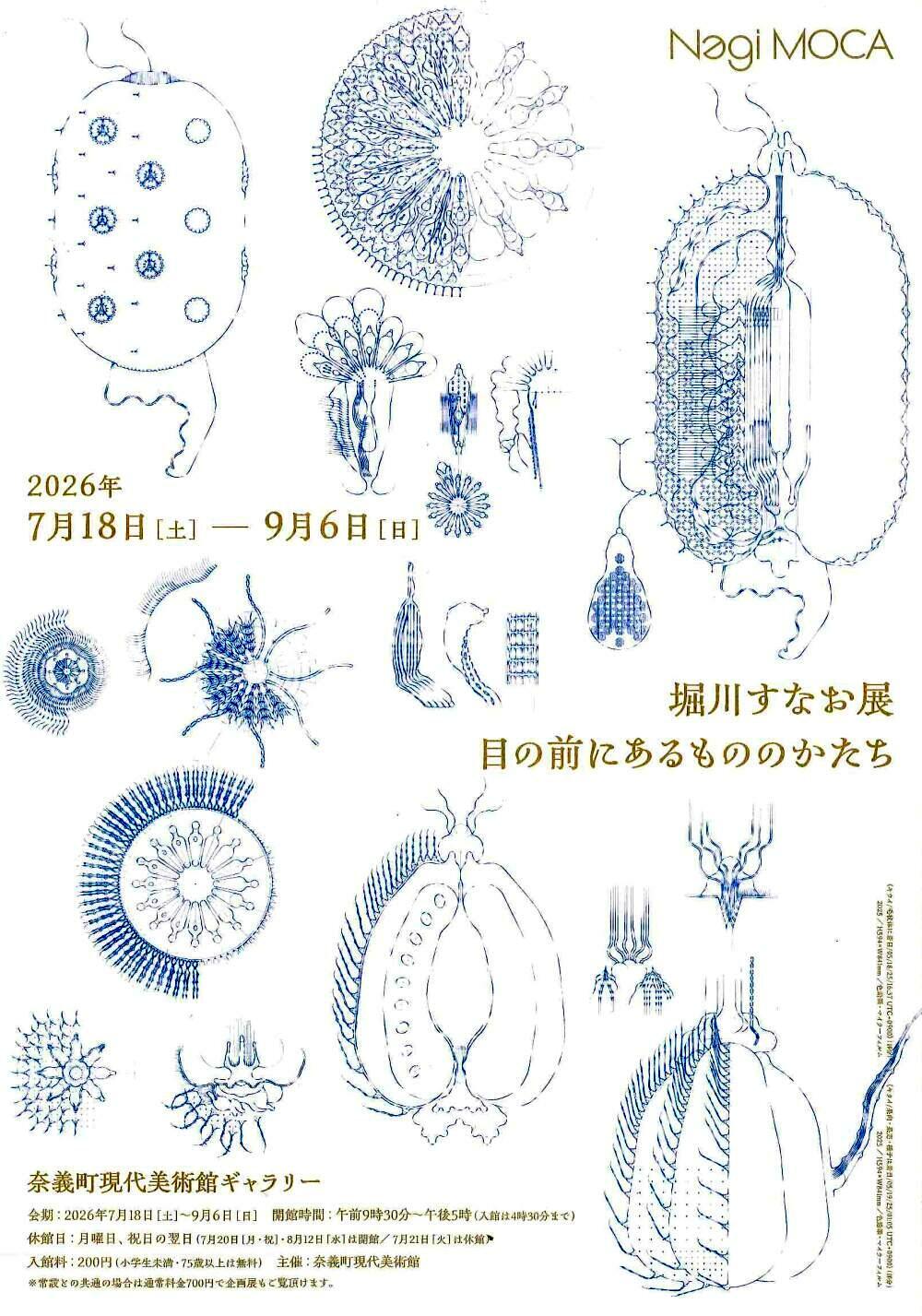 堀川すなお展　目の前にあるもののかたち