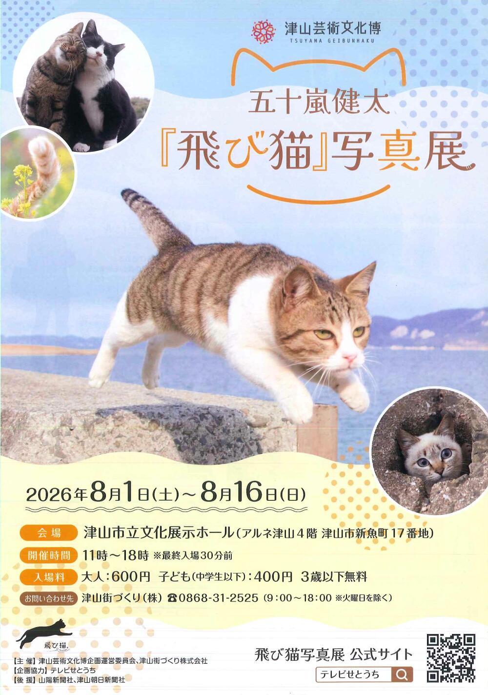 五十嵐健太「飛び猫」写真展